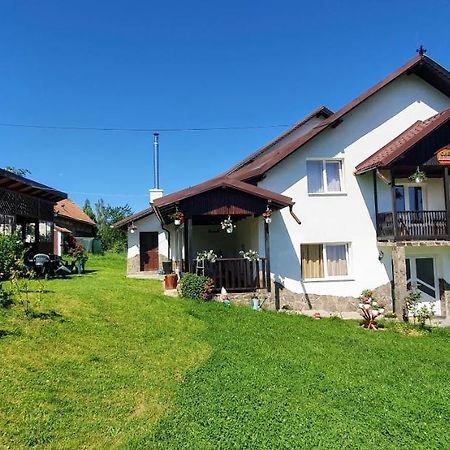 브란 Casa Elena 게스트하우스 외부 사진