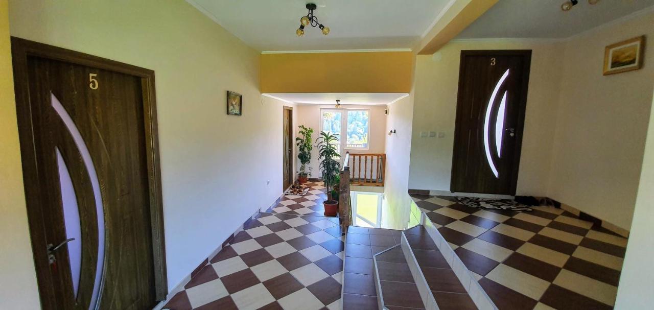 브란 Casa Elena 게스트하우스 외부 사진