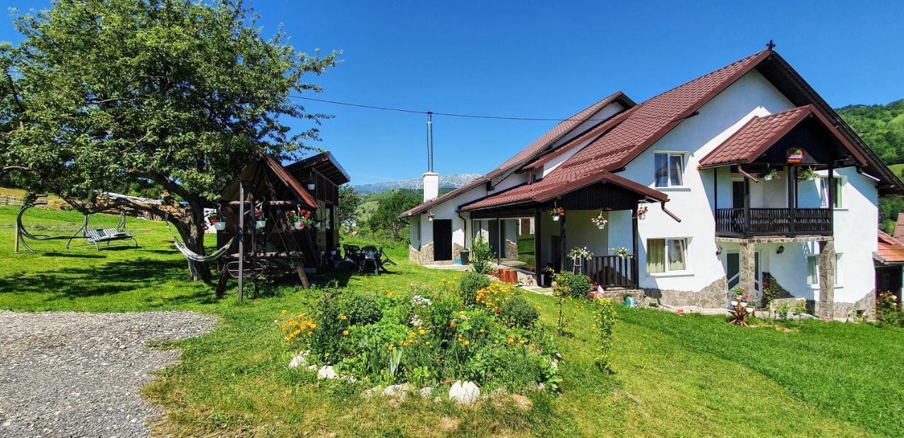 브란 Casa Elena 게스트하우스 외부 사진