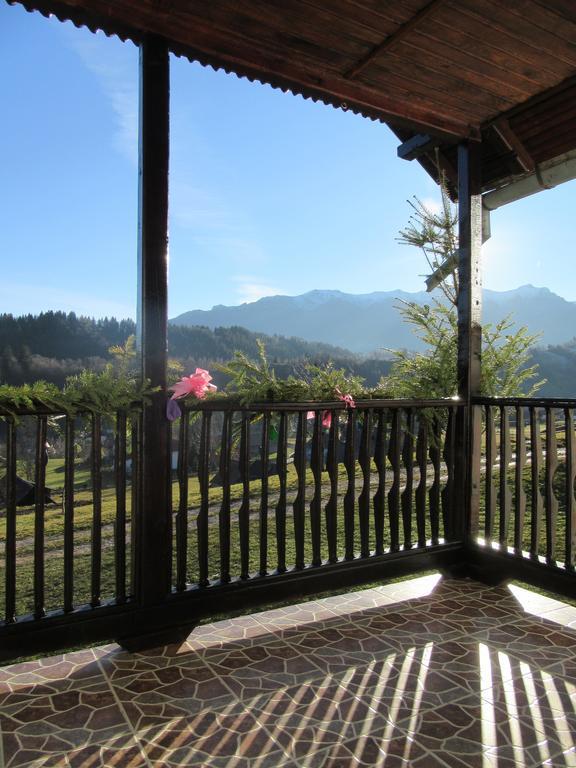 브란 Casa Elena 게스트하우스 외부 사진