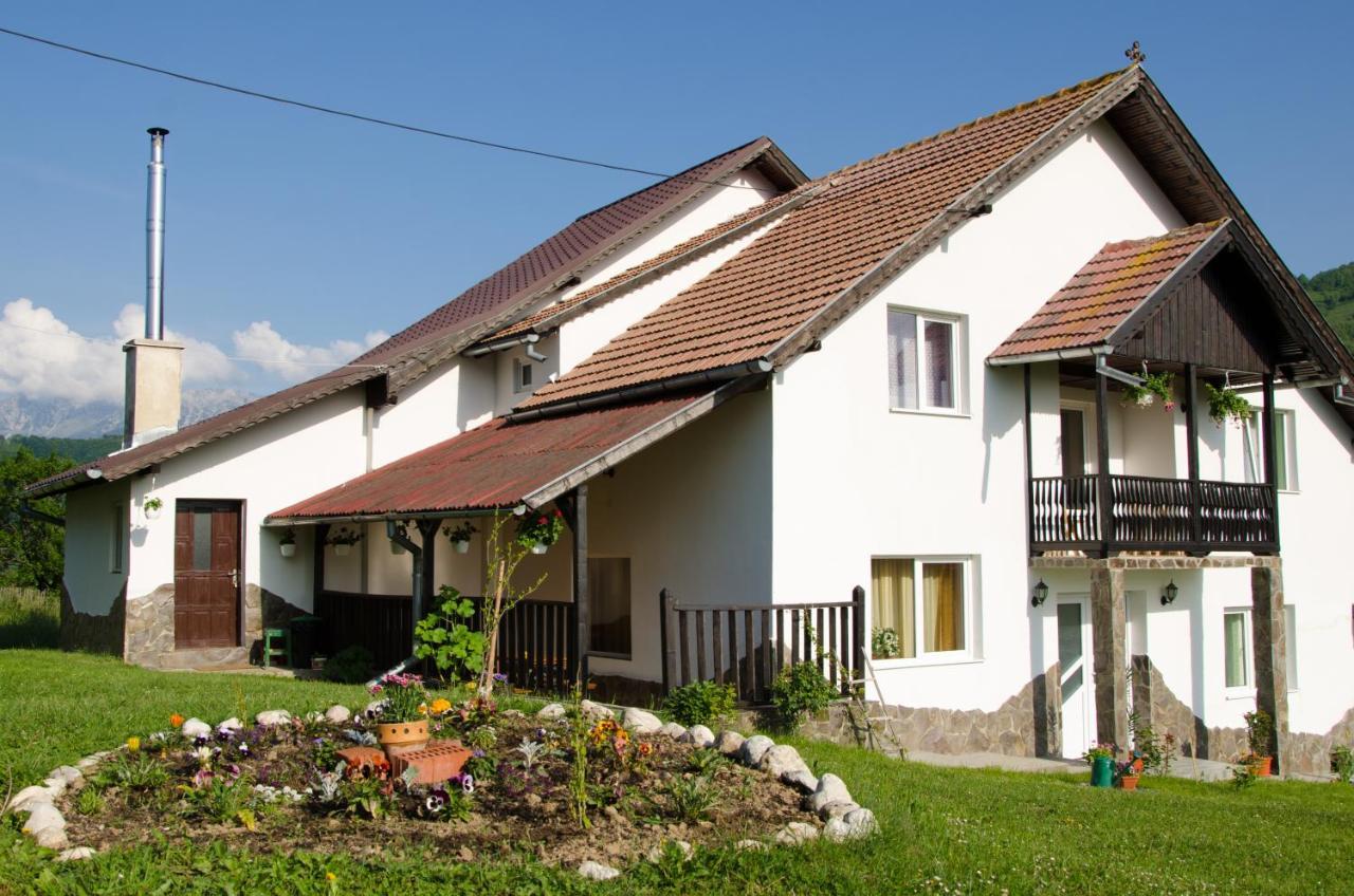 브란 Casa Elena 게스트하우스 외부 사진