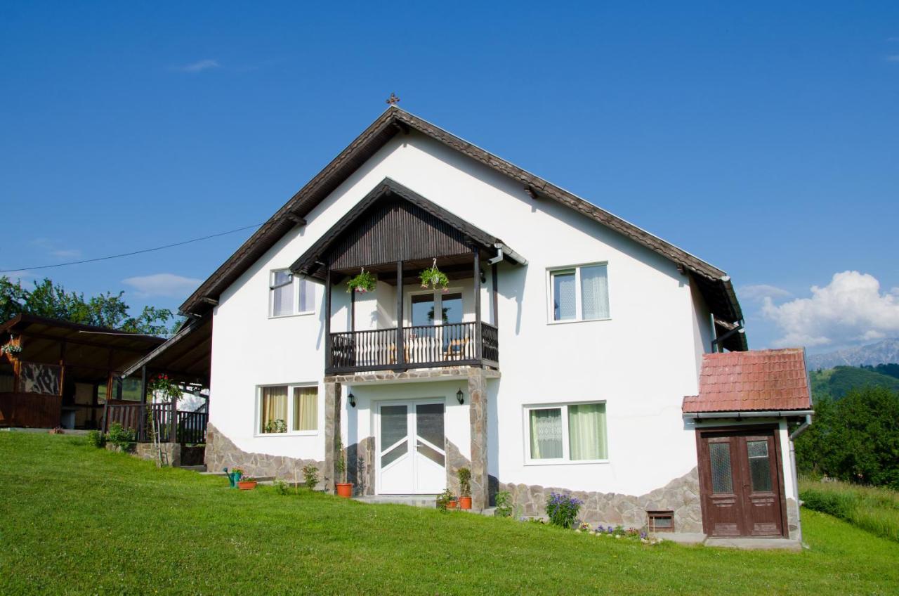 브란 Casa Elena 게스트하우스 외부 사진